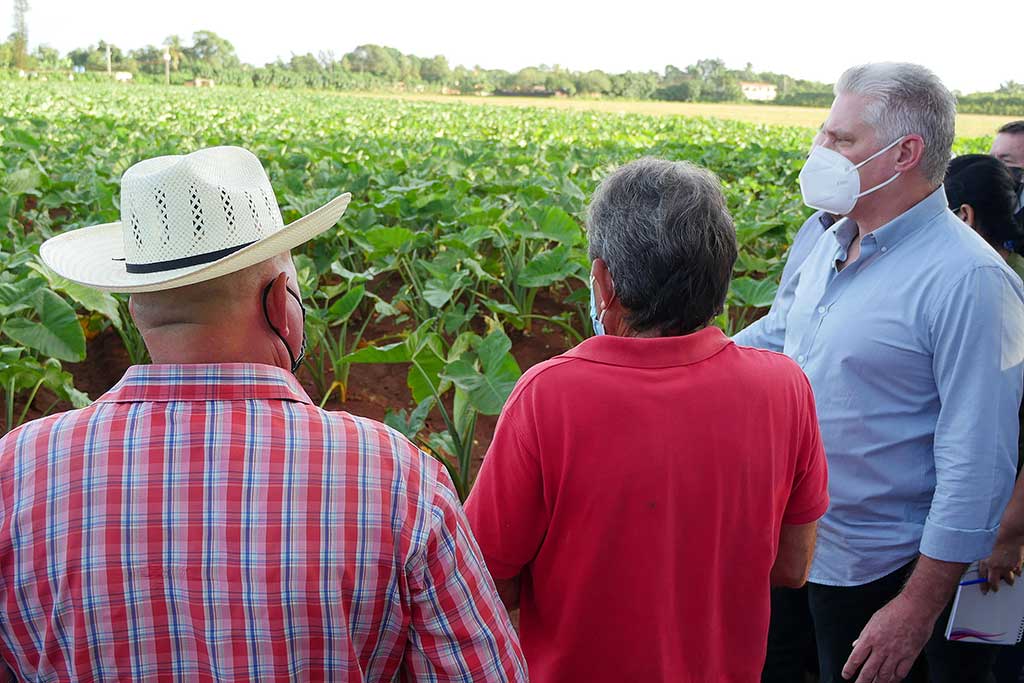 Caminar por la senda de la Ciencia e Innovación en la producción de alimentos