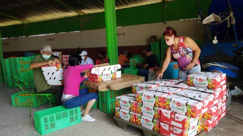 La minindustria aportando alimentos para el pueblo (+Audio)