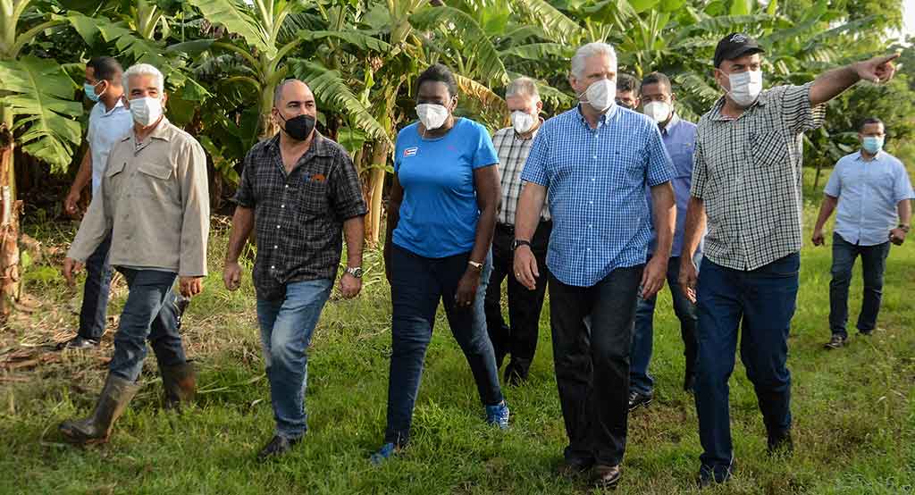 Constata Presidente de Cuba experiencias en Mayabeque para potenciar la producción de alimentos (+ Fotos y Audio)
