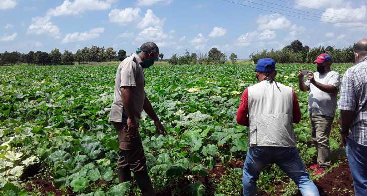 Insta Valdés Mesa en Matanzas a intercambio permanente con productores