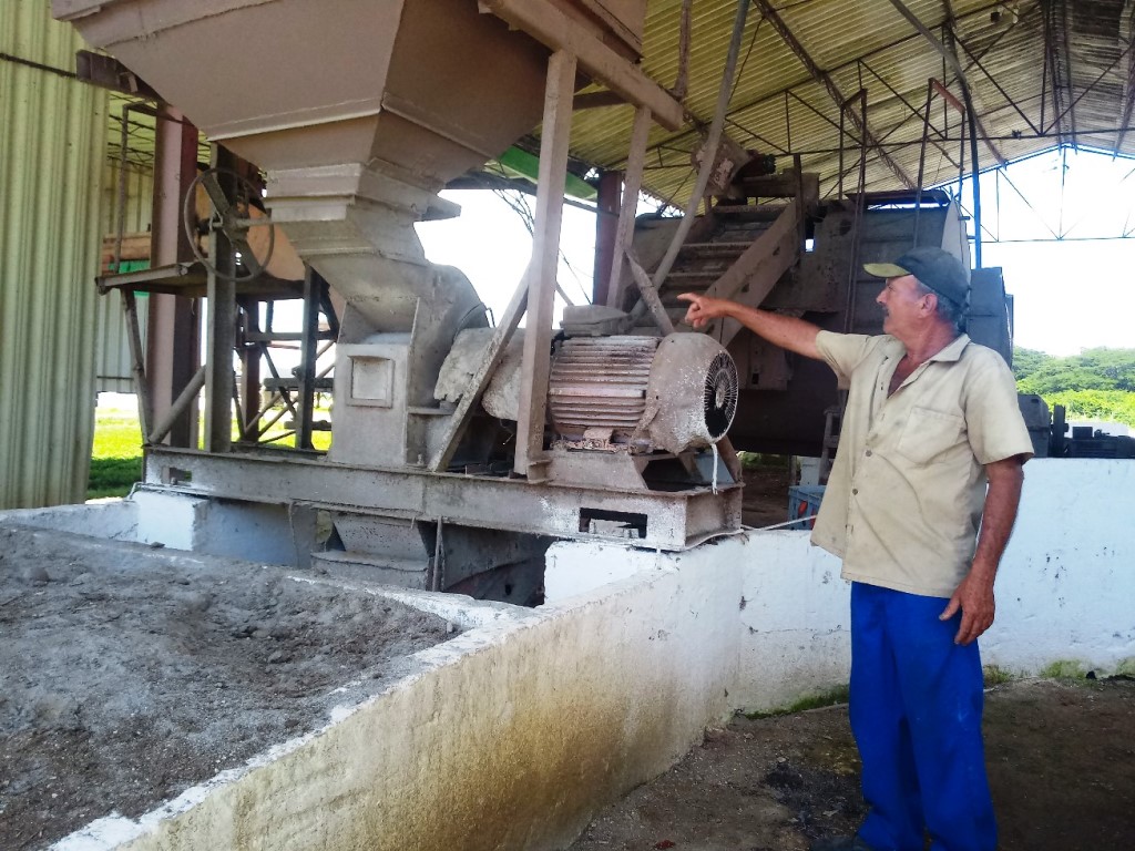 Crece la producción de alimento para el ganado en serranías de Cienfuegos