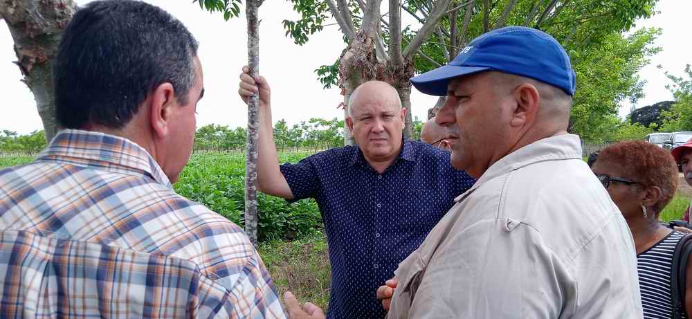 “Hay que virarse para el campo”