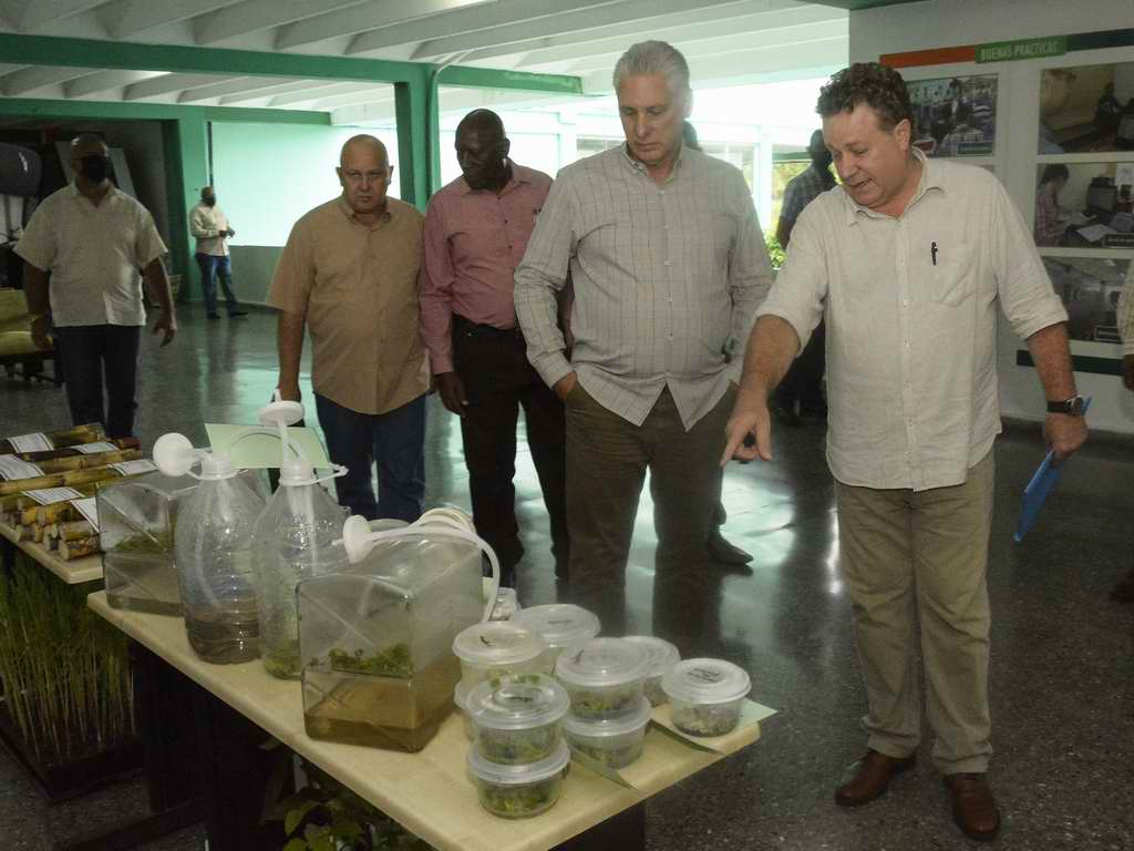 Miguel Díaz-Canel Bermúdez en reunión de trabajo que analizó las estrategias y desafíos actuales de la agroindustria azucarera del país