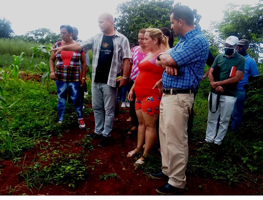 Gerardo visitó la finca de plantas medicinales El Ovino atendida por una madre de tres hijos