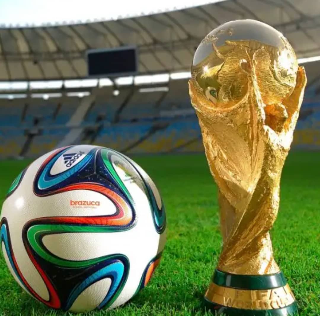 Cuatro países sudamericanos quieren ser sede del Mundial de Fútbol