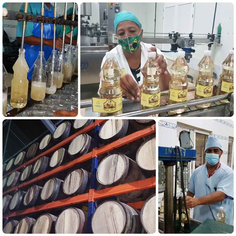 Se recupera paulatinamente la producción en la Fábrica de Ron y Vino Puerto Príncipe 