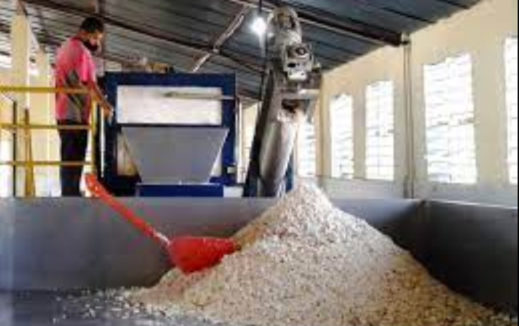 Primera planta en Cuba para la producción de harina de yuca