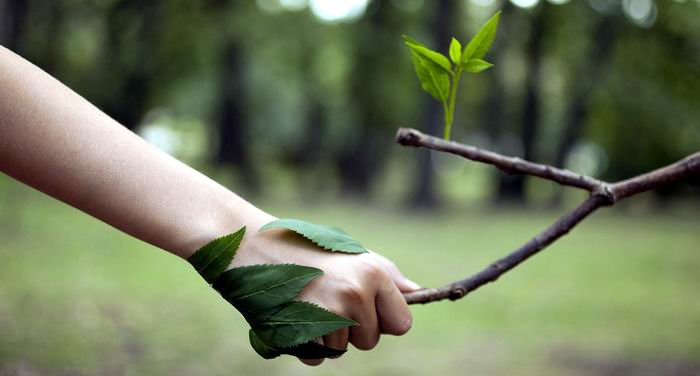 Image: https://www.radiorebelde.cu/images/images/ciencia/ciencia2/cuidemos-planeta-medioambiente.jpg