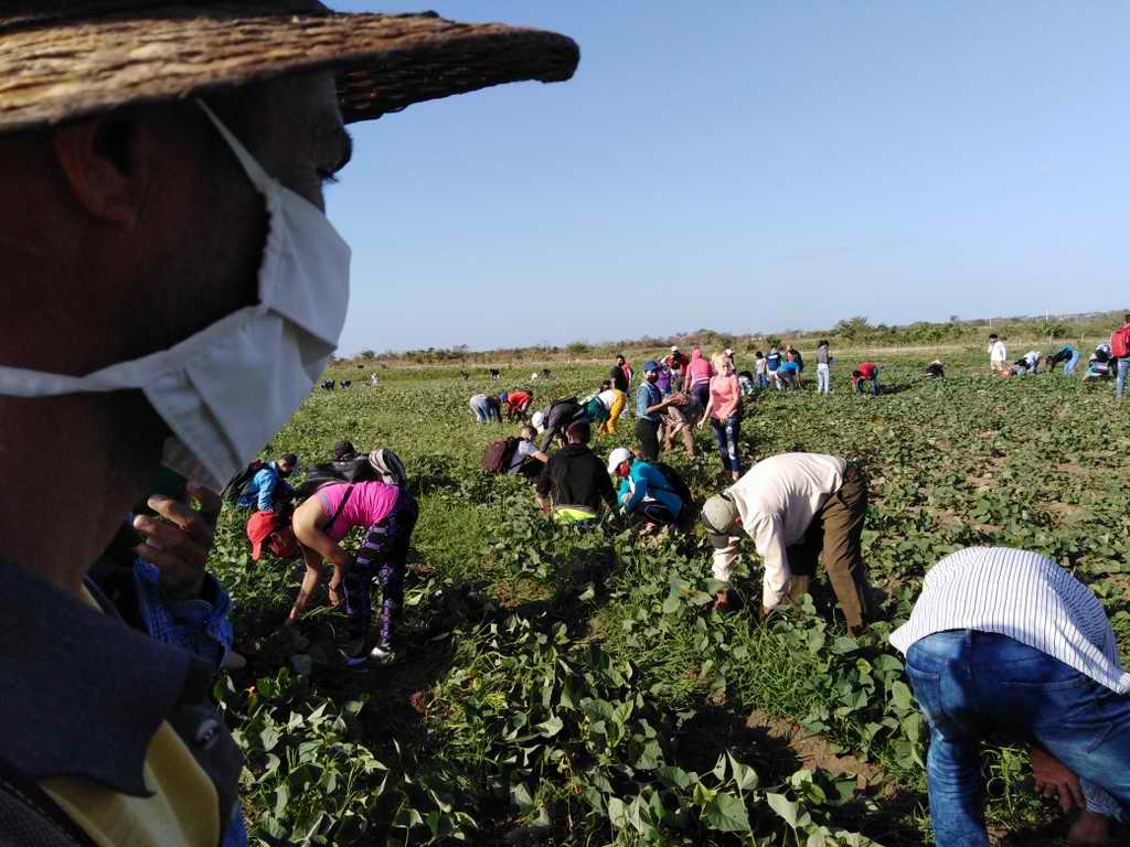 Desde el surco, actividades centrales nacionales por el 4 de abril (+Audio)