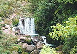 Medio ambiente