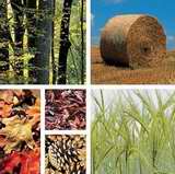 Biocombustibles