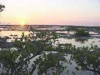 Ciénaga de Zapata