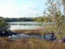 Ci&eacute;naga de Zapata
