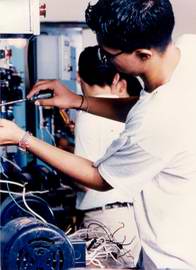 Electricistas