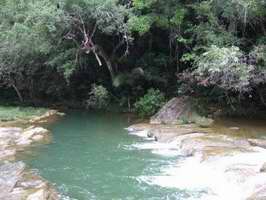 Península de Guanahacabibes, La reserva forestal más grande de Cuba