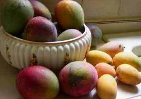 Mangos