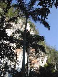 Bio-encuadre por la naturaleza