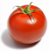 Tomate