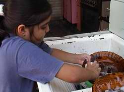 Ni&ntilde;a en trabajo dom&eacute;stico