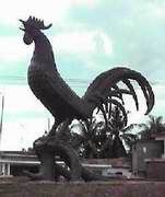 El gallo de Morón