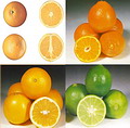Citricos