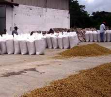 Santiago de Cuba hacia los dos millones de latas de caf&eacute;
