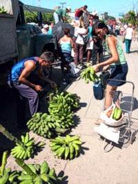 Feria agropecuaria en Cienfuegos