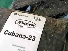 Frijol Cubana - 23