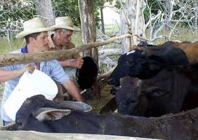 Las ense&ntilde;anzas de Don Cusa a Sancho Piqui