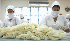 F&aacute;brica de guantes quir&uacute;rgicos de Las Tuna