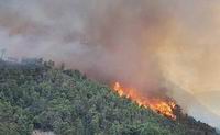 Incendio en el macizo forestal San Felipe - Los Joberos
