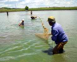 Pescadores