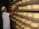 F&aacute;brica de Quesos de Sibanic&uacute;