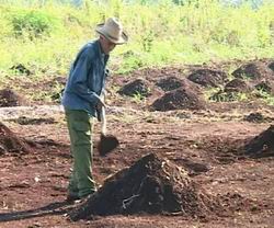 Preparaci&oacute;n de la tierra