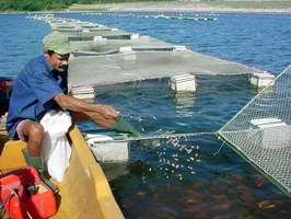 Pescador