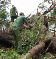 Arduas tareas para la recuperaci&oacute;n luego del paso de los huracanes Gustav e Ike