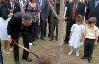 &Aacute;lvaro Colom Caballero sembr&oacute; una Ceiba y una Palma Real