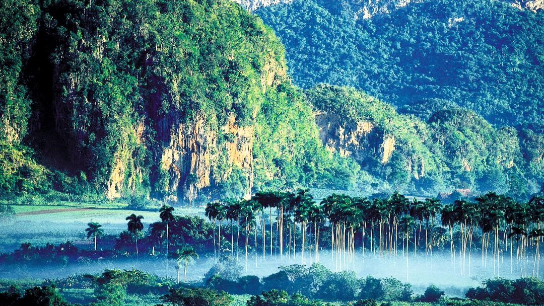 Destaca Cuba necesidad de un plan estratégico sobre biodiversidad