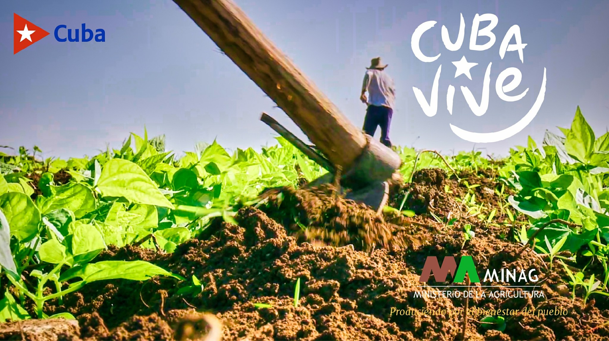 De la convocatoria a la acción en la tierra