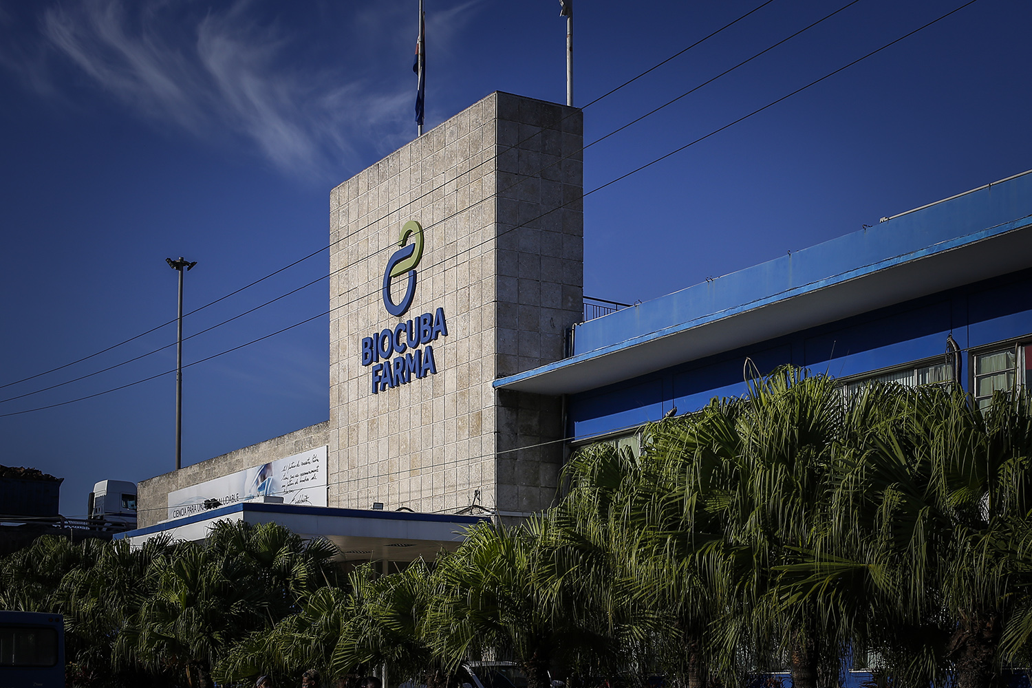 Candidato vacunal de Cuba contra el dengue tiene plataforma segura