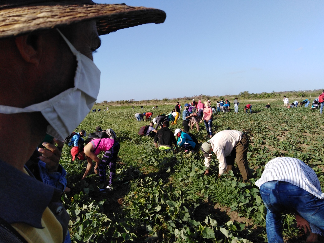Con el tributo al Che, Mella, Fidel y de cara a la economía celebran los tuneros el 4 de abril