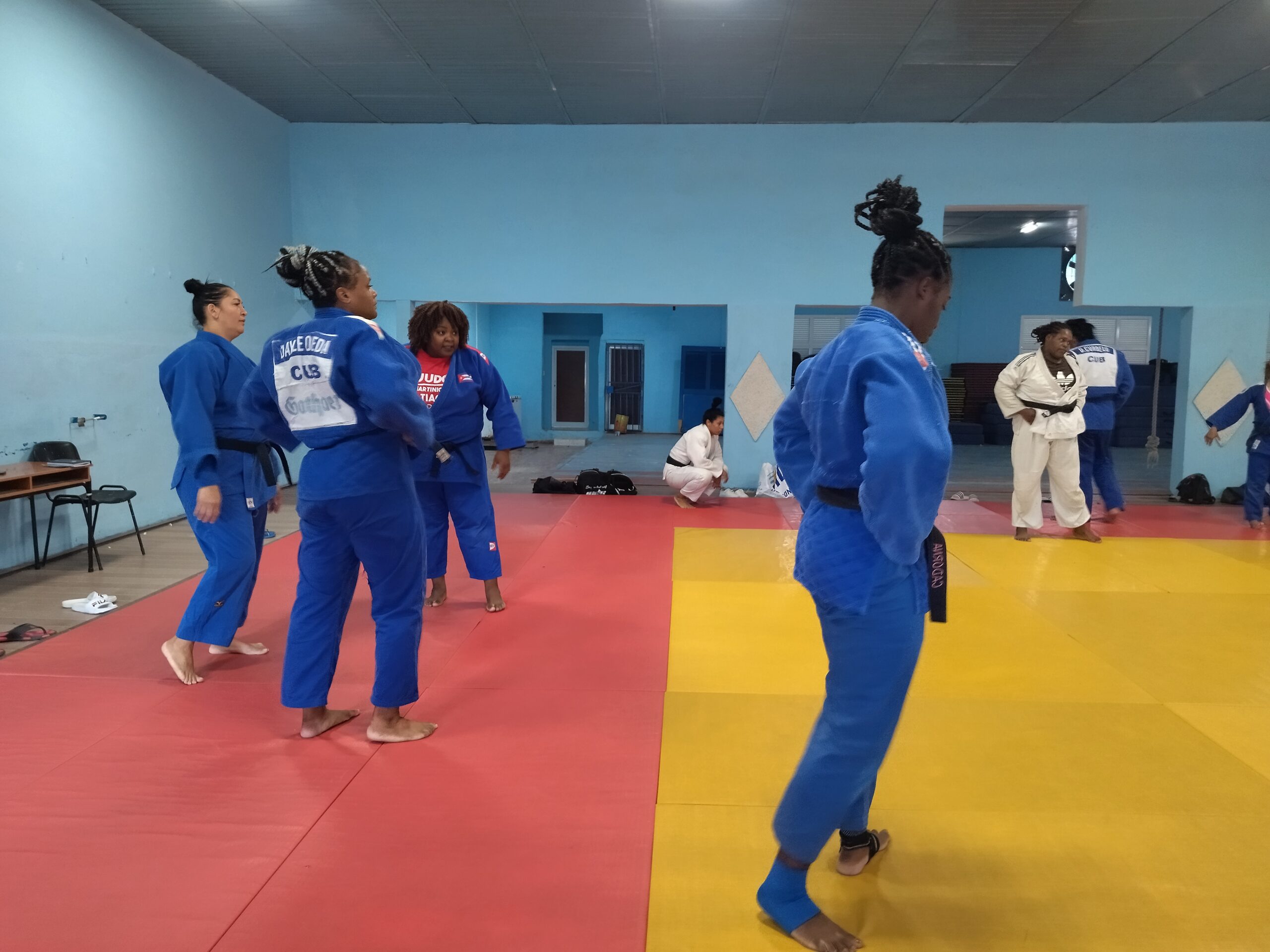 Selección Nacional de Judo (Representación femenina)