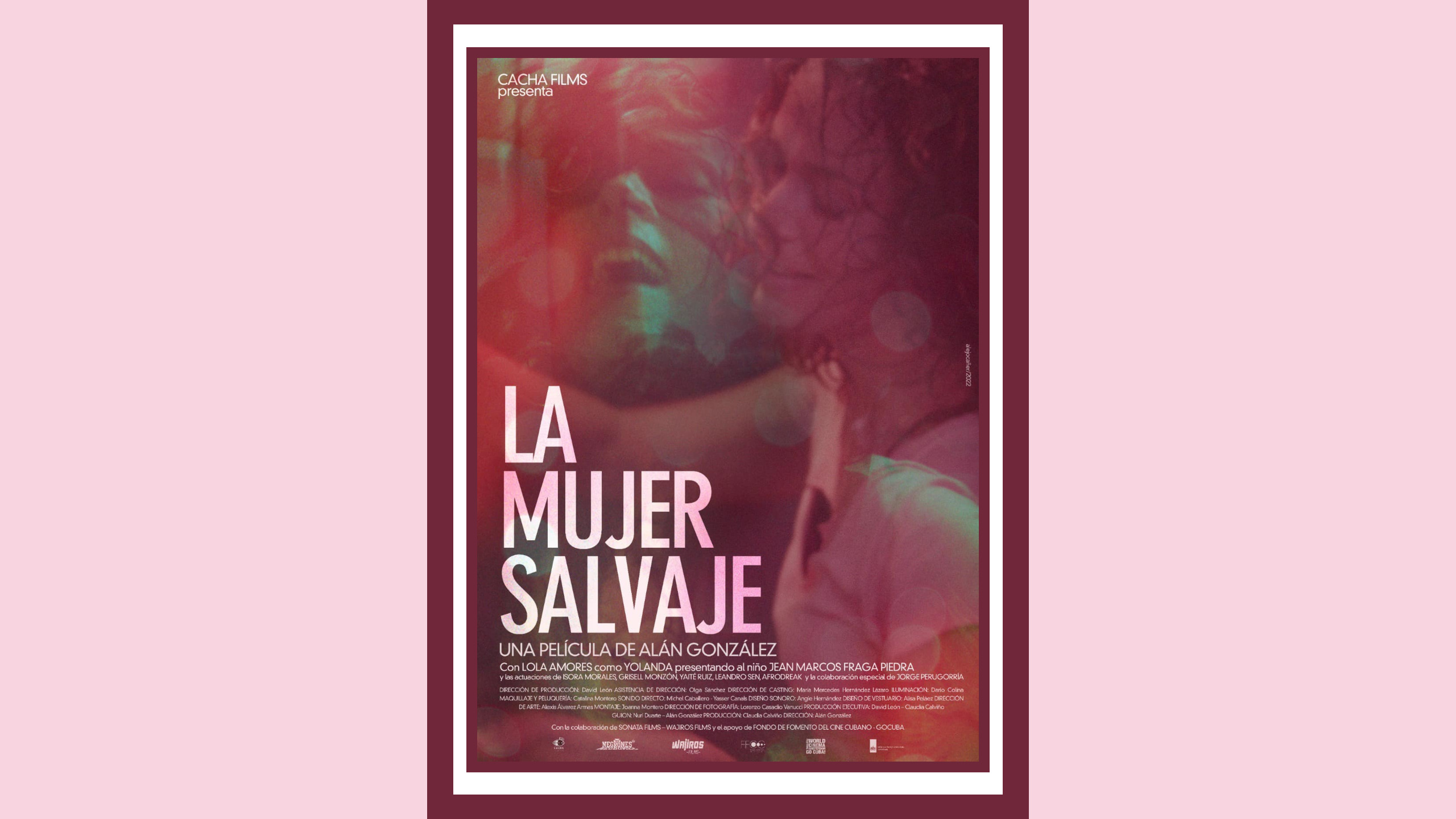 Memorias de la mujer salvaje