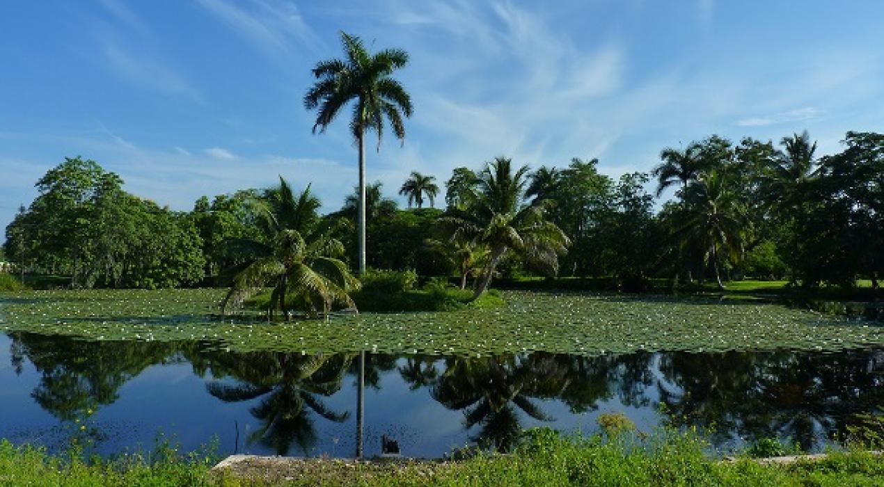 El tiempo en Cuba este 30 de marzo de 2024