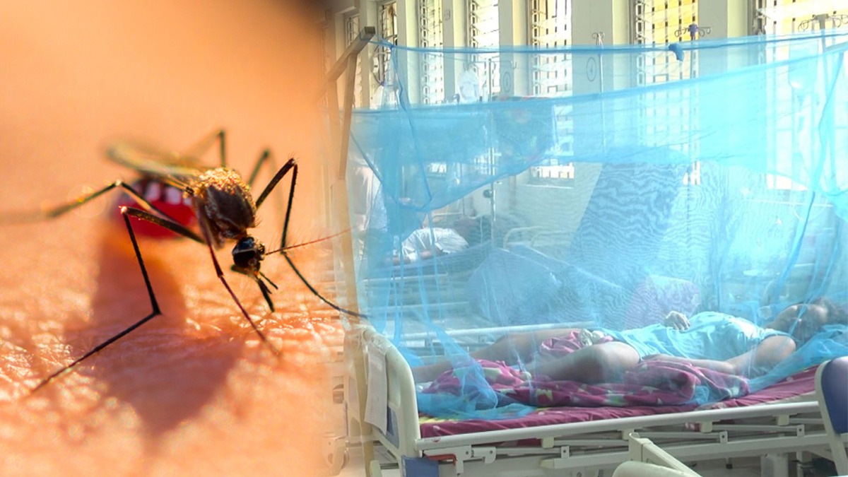 Perú declara Estado de Emergencia por dengue