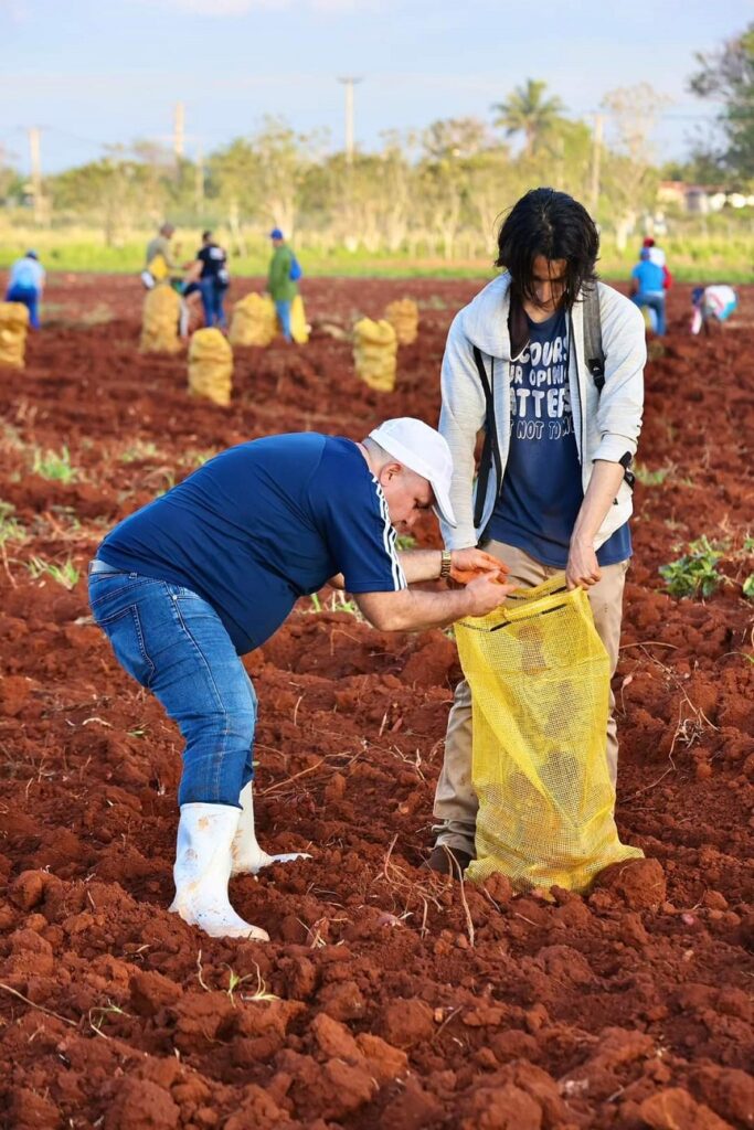 trabajo voluntario juventud gobierno 12