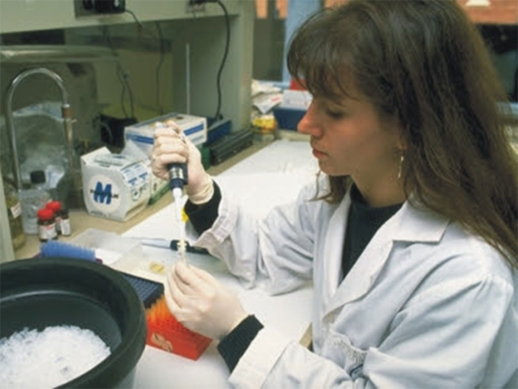Laboratorios del CIDEM