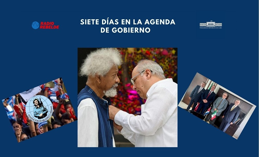 agenda de gobierno resumen
