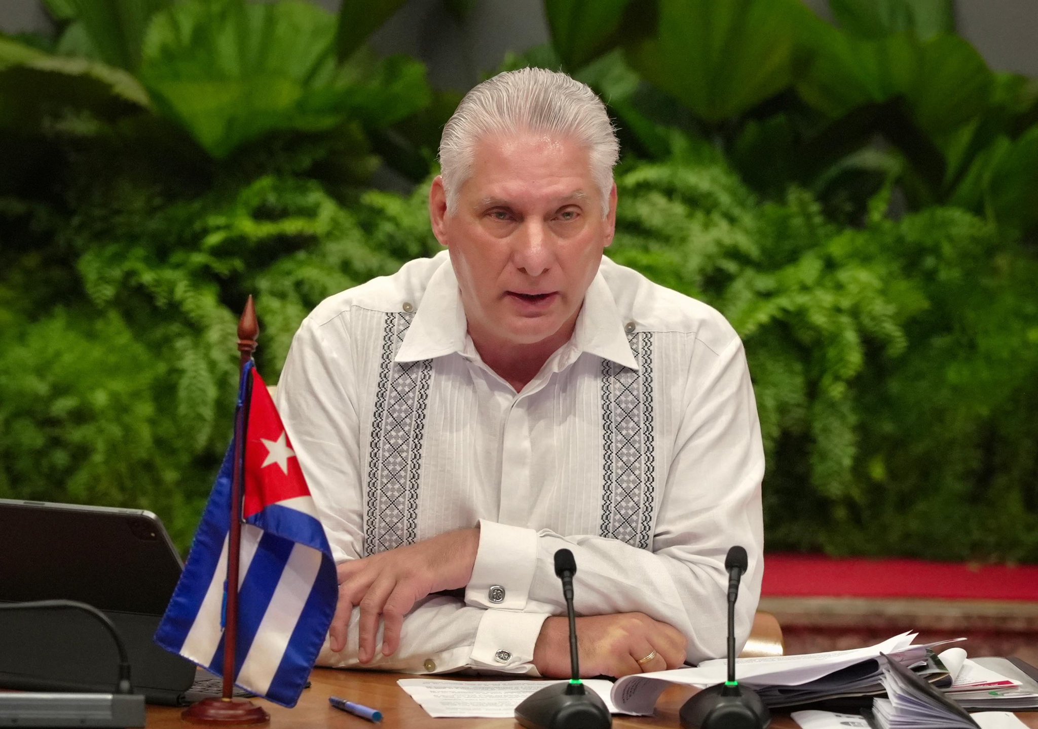 Díaz-Canel en Cumbre del ALBA-TCP