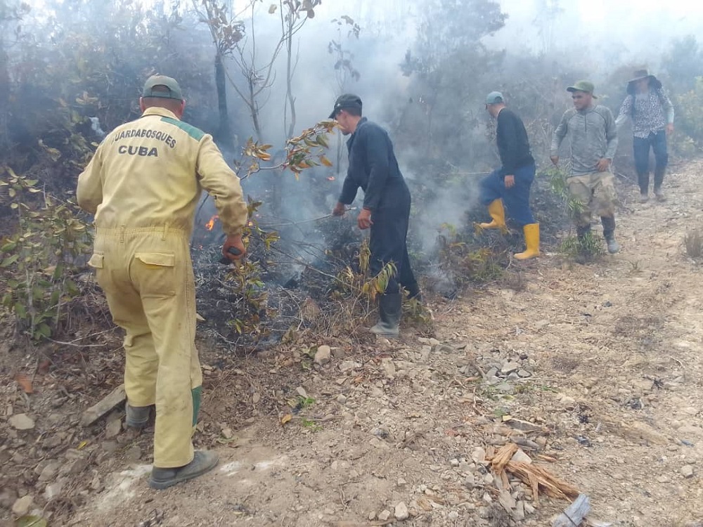 Incendio Forestal Pinar del Río